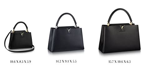 louis vuitton capucines bag sizes